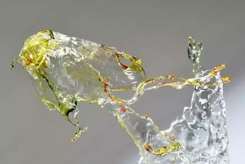 凝固的美 不可思议的液体雕塑——非即饮型茶的蜕变